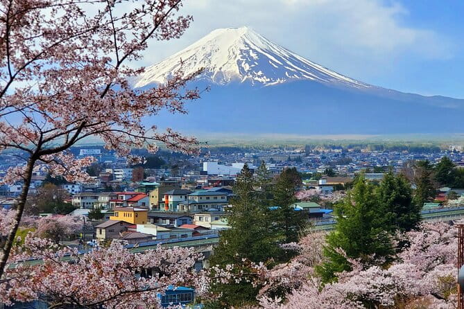 Guided 3 Days Tour Tokyo, Mt. Fuji and Hakone GREEN NUMBER PLATE - Inclusions and Exclusions