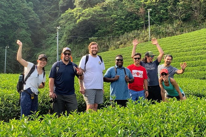 Guided Bike Tour to a Green Tea Farm in Shizuoka (Not E-Bikes) - Participant Experiences and Reviews