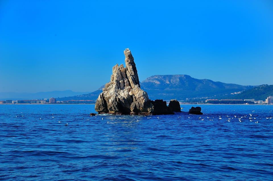 Guided Boat Tour to Medes Islands & Roca Foradada With Swim - Experience Highlights