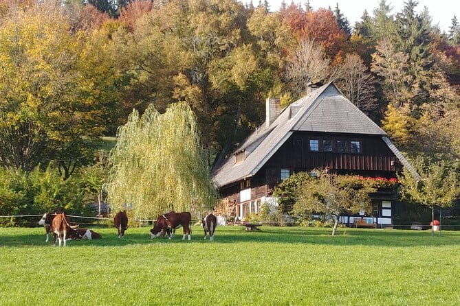 Guided cider tasting - Exploring the Details: What to Expect on the Cider Tour