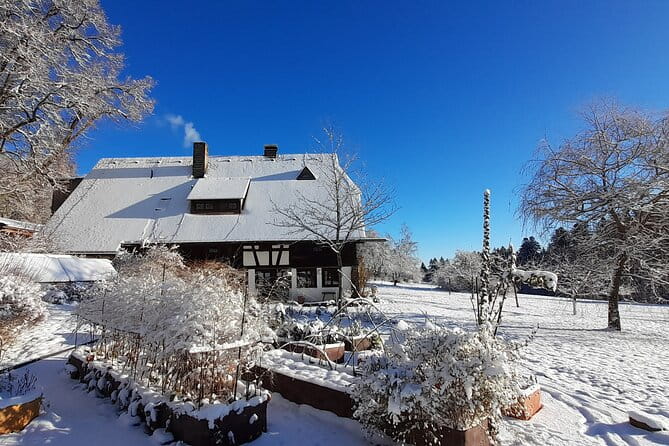 Guided cider tasting - Final Thoughts: Is This Tour Worth It?