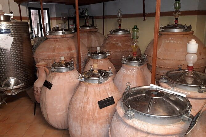 Guided Cycle Tourism Wine Tour by E-Bike on the Island of Elba "Arrighi" - Exploring Elba’s Landscape and Culture on Two Wheels