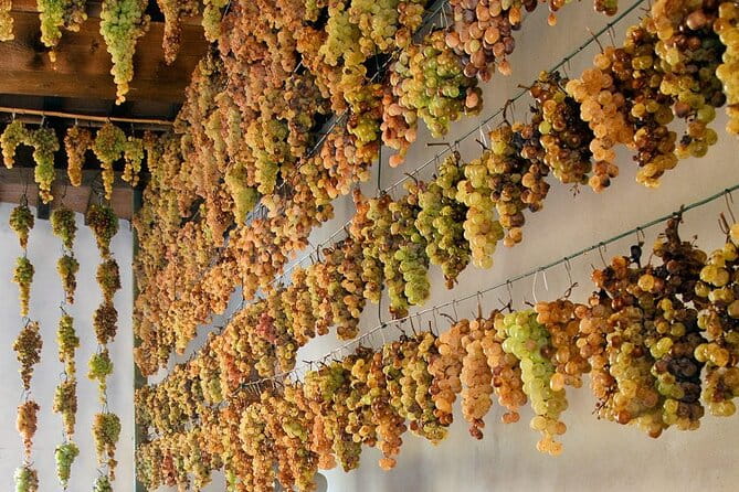 Guided Cycle Tourism Wine Tour by E-Bike on the Island of Elba "Arrighi" - Final Thoughts: Why This Tour Is Worth Considering