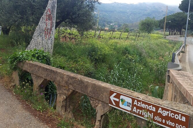 Guided Cycle Tourism Wine Tour by E-Bike on the Island of Elba "Arrighi" - FAQ