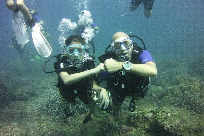 Guided dive for certified divers - Key points / Takeaways