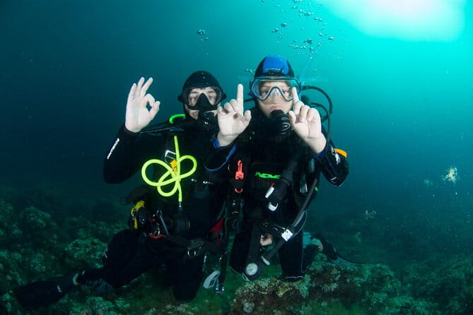 Guided Diving for Beginners Without Certification From Sorrento - Meeting Point and Pickup