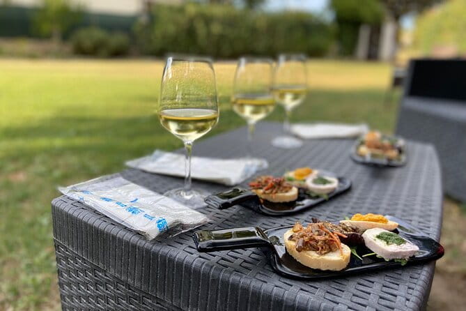 Guided E-Bike tour with food and wine tasting. - Introducing the Guided E-Bike Tour with Food and Wine Tasting in Marche