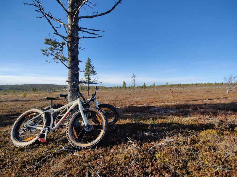 Guided Fatbike Tour in Ivalo - Starting Point and Logistics: Easy and Well-Organized