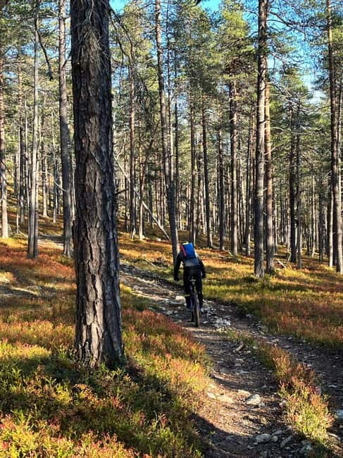 Guided Fatbike Tour in Ivalo - Why This Tour Is a Great Choice
