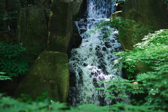 Guided Garden Walk: Nagoya Castle, Gardens & Historic Estate - Pricing and Cancellation Policy