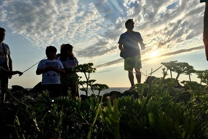 Guided Geological Excursion to Ustica - Participant Reviews and Ratings