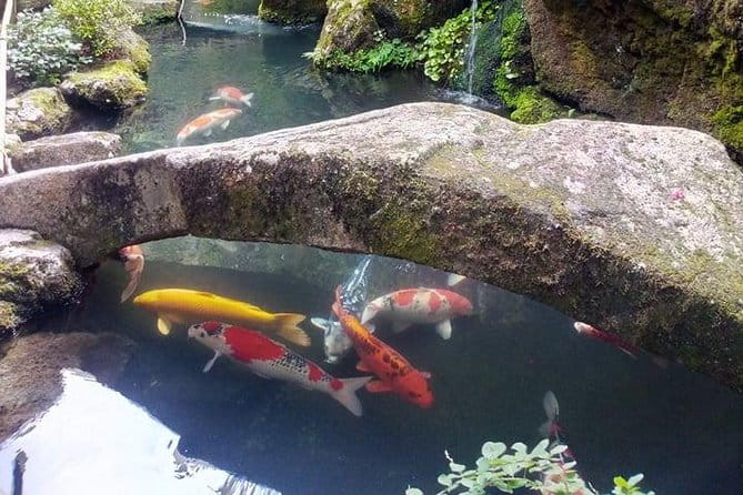 Guided Gion Tour: Explore Kyoto's Historic Geisha District - Customizing Your Itinerary