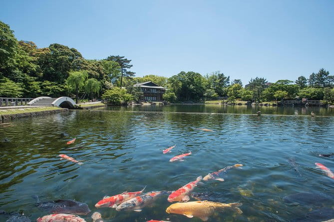 Guided Half-day Tour(AM) to Nagoya Castle & Tokugawa Museum and Garden - Pricing and Availability