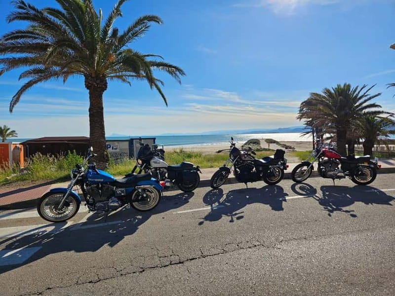 Guided Harley tours with lunch - Price and Logistics: A Good Value for a Full Day of Fun