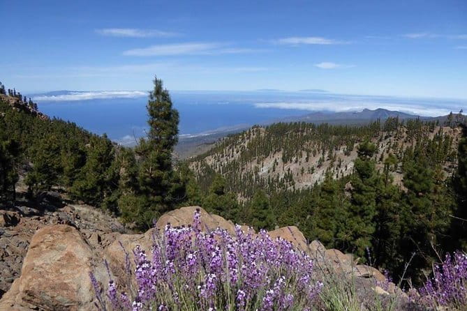 Guided Hike - The Tajinaste Trail - Who Should Consider This Tour?