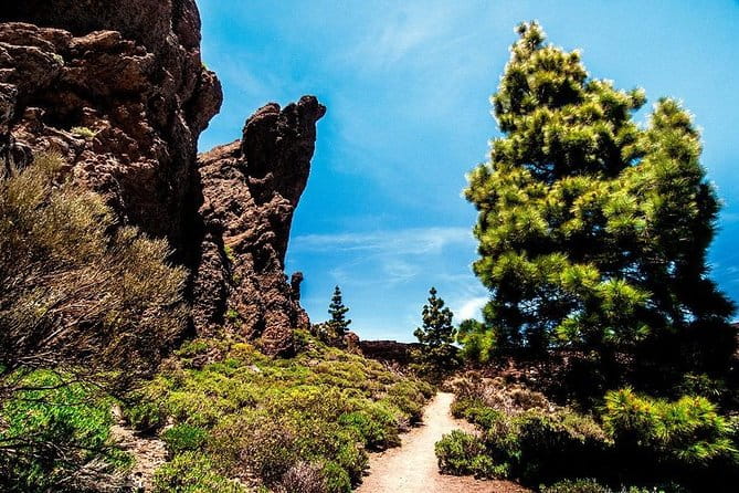 Guided Hike - The Tajinaste Trail - Final Thoughts