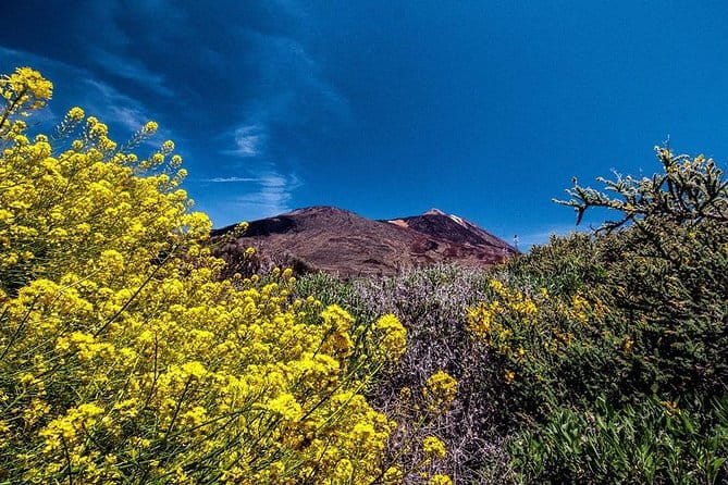 Guided Hike - The Tajinaste Trail - FAQ