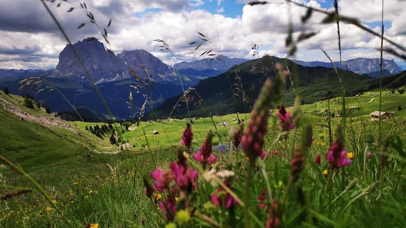 Guided hiking tour in South Tyrol and the Dolomites with IML hiking guide - Price and Logistics: Analyzing Value