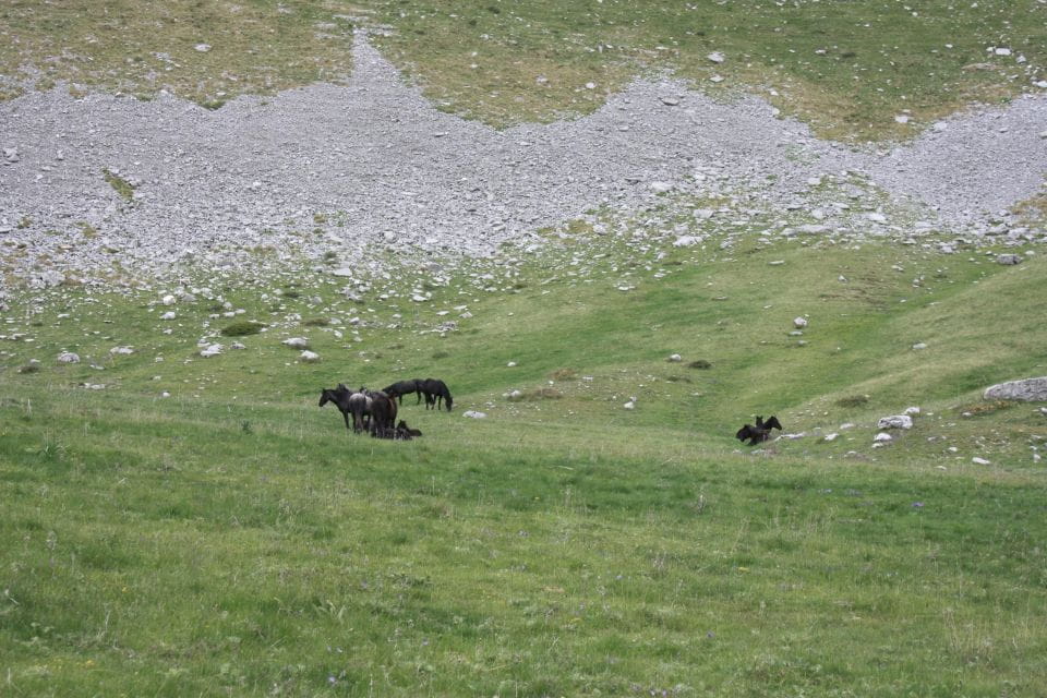 Guided Hiking Tour to the Dragon Lake of Mountain Tymfi - Inclusions and Amenities