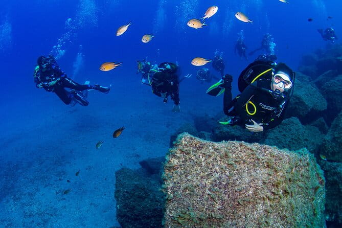 Guided Immersion from Santa Cruz de Tenerife - Who Will Love This Tour?