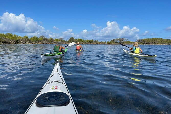 Guided kayak tour inside the Stagnone of Marsala - The Route and What Youll See