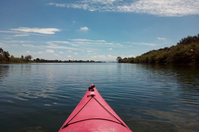 Guided Kayak Tour to Gracia Island - Guides and Multilingual Experience
