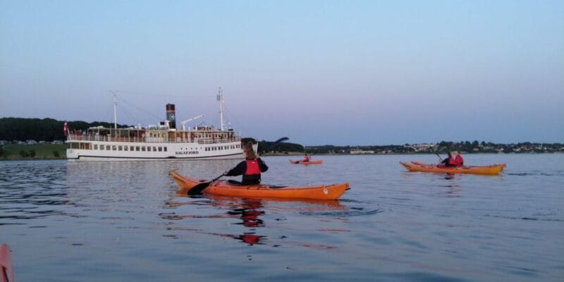 Guided kayaking on Roskilde Fjord: Private tour - Frequently Asked Questions
