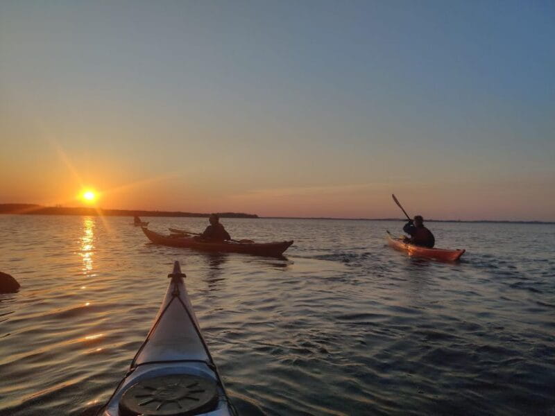 Guided kayaking on Roskilde Fjord: Sunset tour - Discover the Calm of Roskilde Fjord at Sunset with Guided Kayaking