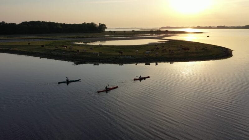 Guided kayaking on Roskilde Fjord: Sunset tour - What to Expect from the Tour
