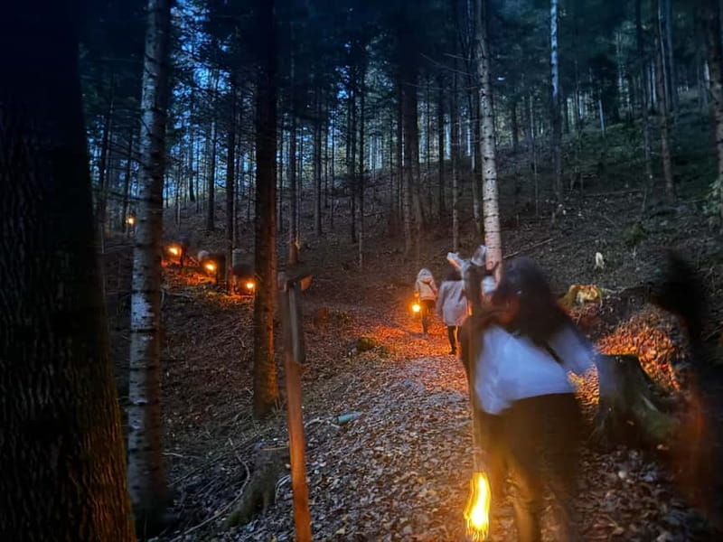 Guided llamawalk with a traditional, homemade cheesefondue - Exploring the Triesenberg Llamawalk with Cheesefondue: A Practical Guide