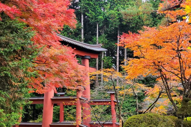 Guided Mount Fuji Private Tour GREEN NUMBER PLATES - Flexibility and Personalization