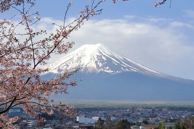 Guided Mt. Fuji & Hakone Tour Bullet Train Return GREEN NUMBER - Inclusions and Pricing