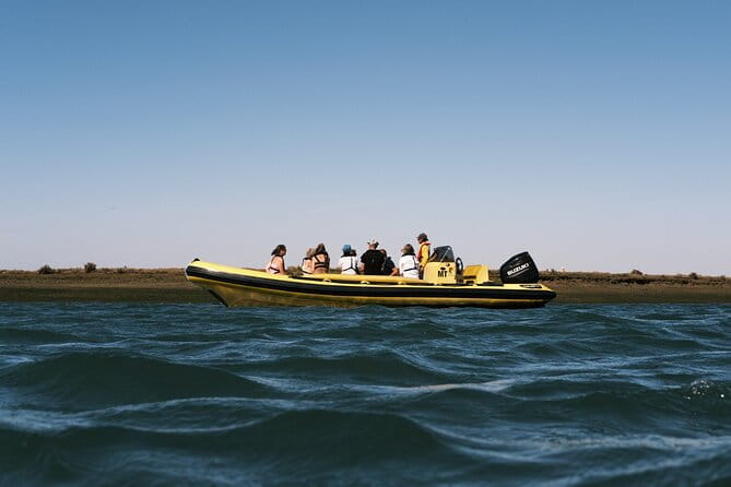 Guided Nature Tour & Hop On Hop Off 3 Islands - Exploring the Ria Formosa Islands: An Honest Look at the Guided Tour & Hop-On Hop-Off Experience
