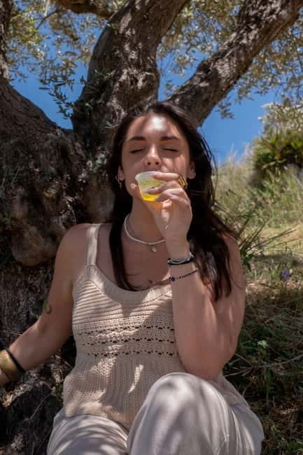 Guided oil tasting with tour of olive grove in Agrigento - Key points / Takeaways