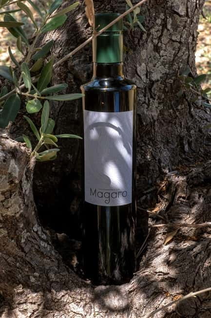 Guided oil tasting with tour of olive grove in Agrigento - Exploring Sicily’s Olive Groves: A Walk Through the Heartland of Flavors