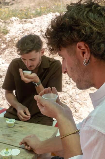 Guided oil tasting with tour of olive grove in Agrigento - Analyzing the Value