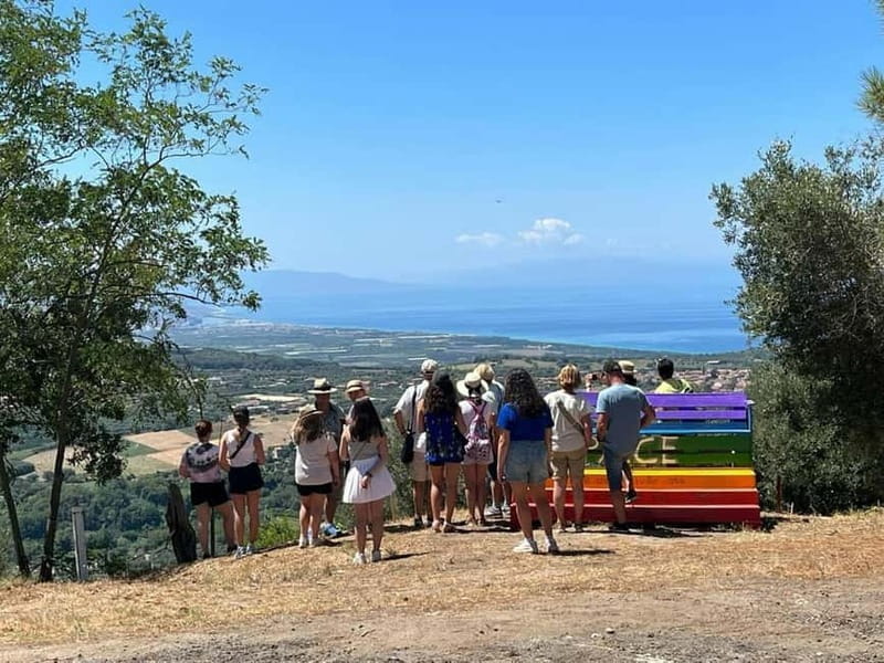 Guided Olive Oil Farm, Calabrian Lunch & Nicotera Tour - Price and Value