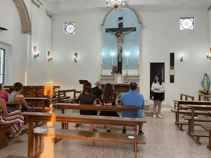 Guided Olive Oil Farm, Calabrian Lunch & Nicotera Tour - The Sum Up