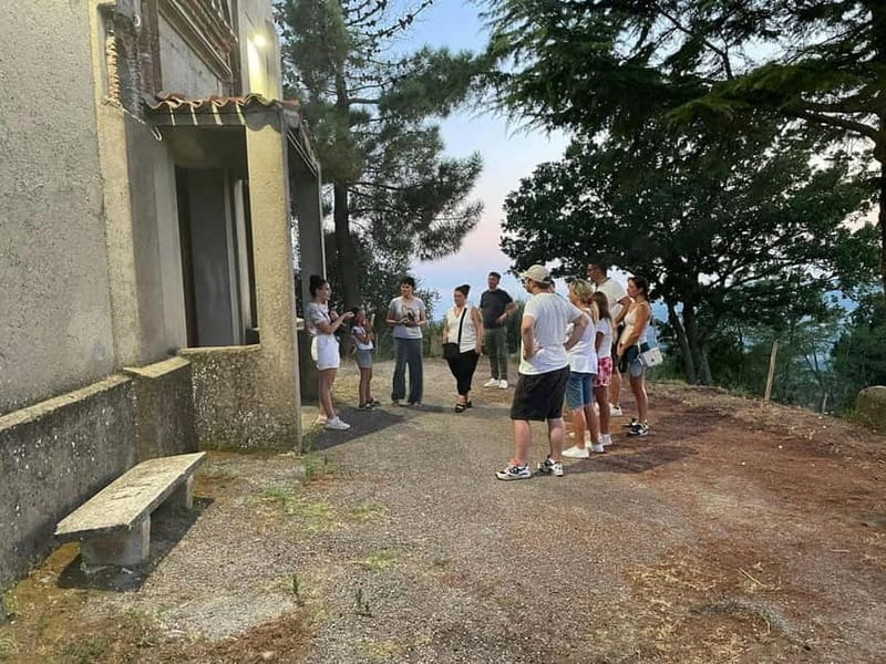 Guided Olive Oil Farm, Calabrian Lunch & Nicotera Tour - FAQs