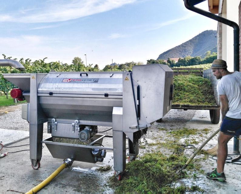 Guided Olive Oil & Wine Tour From Padua - Frequently Asked Questions