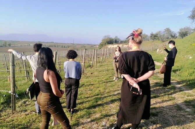 Guided Premium Tour in Lugana DOC - 5 wines from Perla del Garda - What to Expect During Your Visit to Perla del Garda