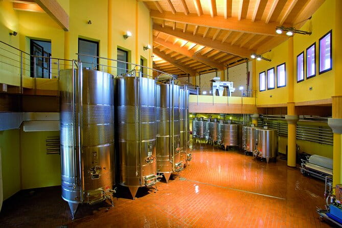 Guided Premium Tour in Lugana DOC - 5 wines from Perla del Garda - Who Will Love This Tour?