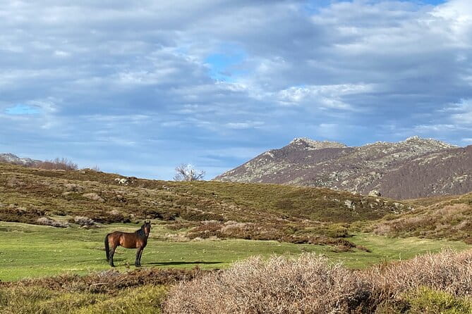guided ride on the Plateau du Coscione by electric mountain bike - Introduction to the Coscione Plateau: Nature and Heritage