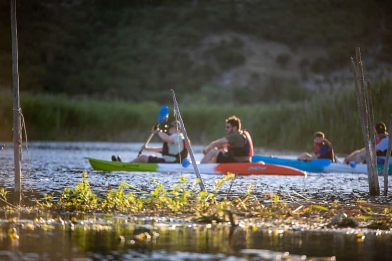 Guided Safari Kayaking Tour in Neretva Valley - Price and Value Analysis