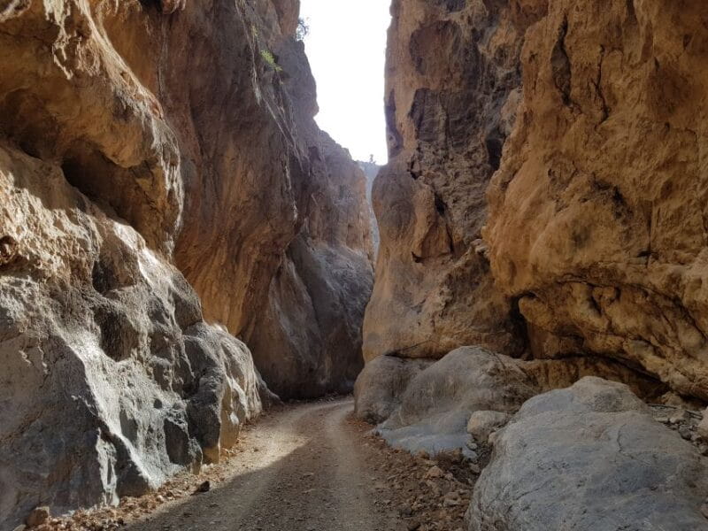 Guided Safari South Crete & Tripitis Gorge - Key Points / Takeaways