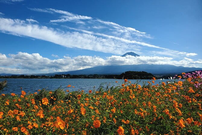 Guided Shimizu Port to Mt. Fuji Private Tour GREEN NUMBER PLATES - Key Points