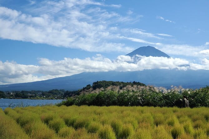 Guided Shimizu Port to Mt. Fuji Private Tour GREEN NUMBER PLATES - Inclusions and Additional Fees
