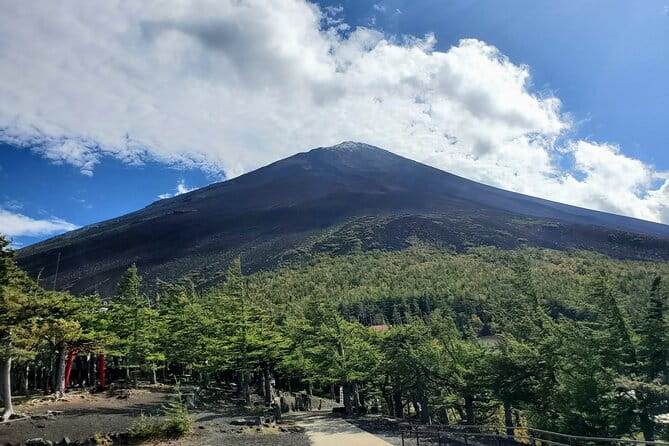 Guided Shimizu Port to Mt. Fuji Private Tour GREEN NUMBER PLATES - Customer Experience and Feedback