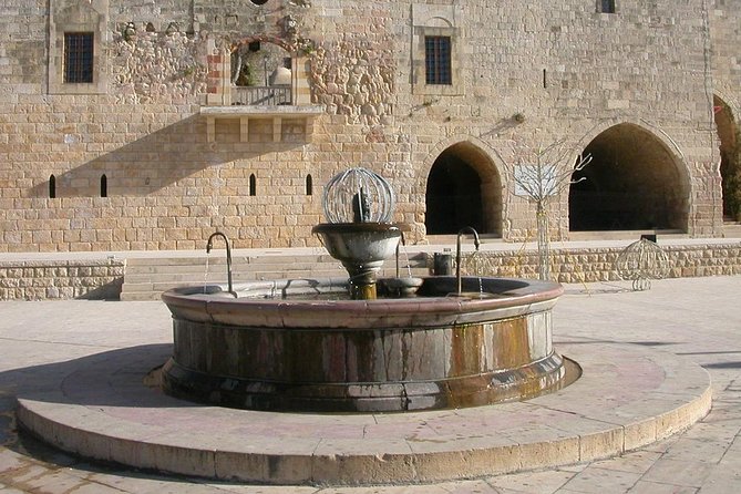 Guided Small Group to Cedars Reserve & Beiteddine W/Lunch+Entries - Cedars Reserve