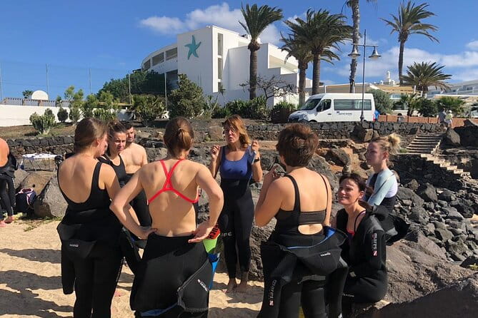 Guided Snorkeling Experience - Who Will Love This Tour?